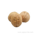 New Crop High Quality Shelled Raw Xin2 Walnuts